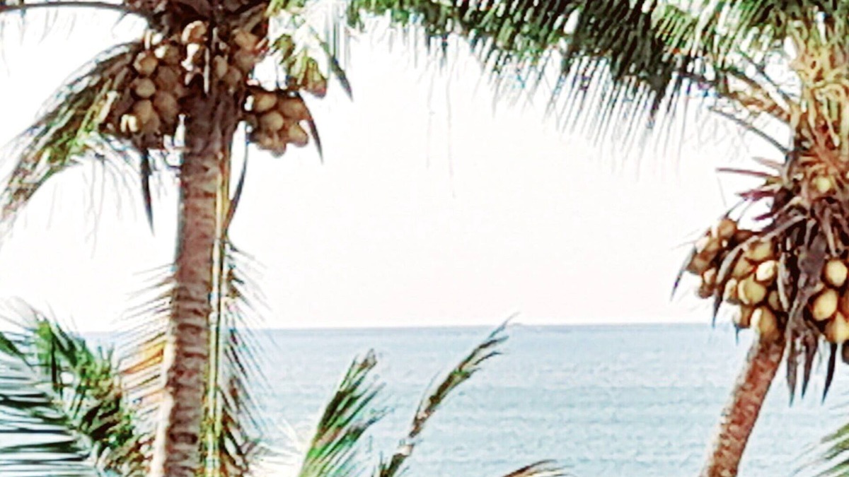 Matara Apartment | The Ocean Villa
