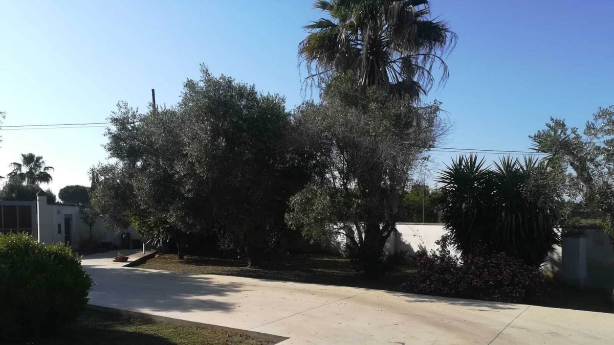 Galatina Villa | The Olive Garden - La Terrazza