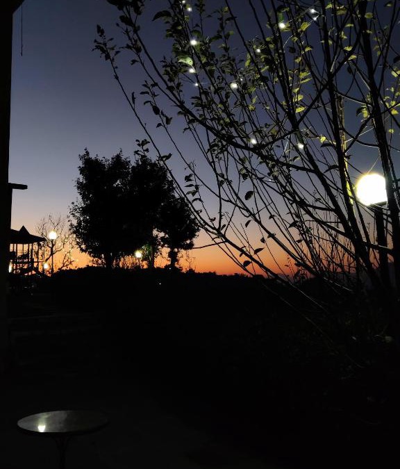 Rajgarh Bed & Breakfast | The Orchard