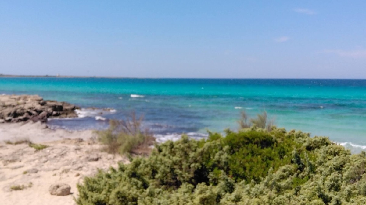 Trepuzzi Apartment | The Palace Spacious and bright apartment between 2 seas and near Lecce