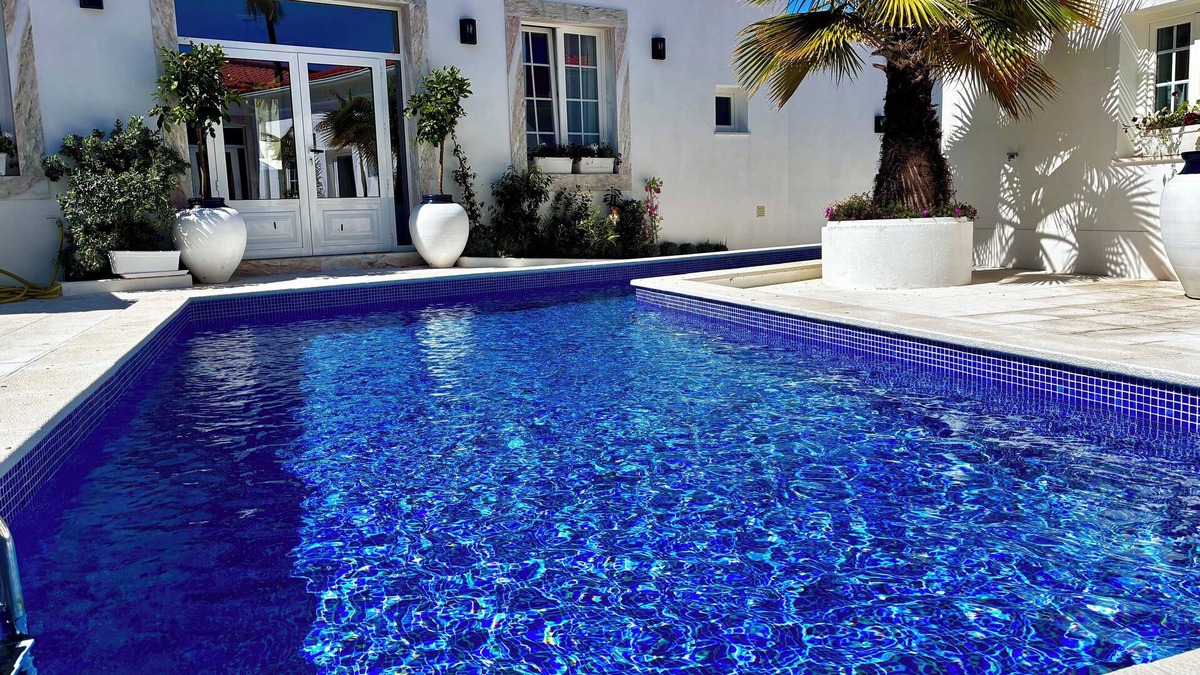 Alvito House | The Palm Tree House: Alentejo, Private swimming pool, 6 suites, Iconic Palm tree