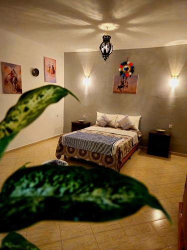 Marshan Apartment | The Pearl of The Kasbah With a Terrace and breakfast-Entire House