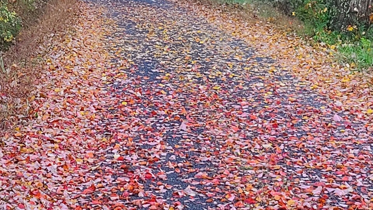 Suches Apartment | The perfect Escape for Outdoor Lovers