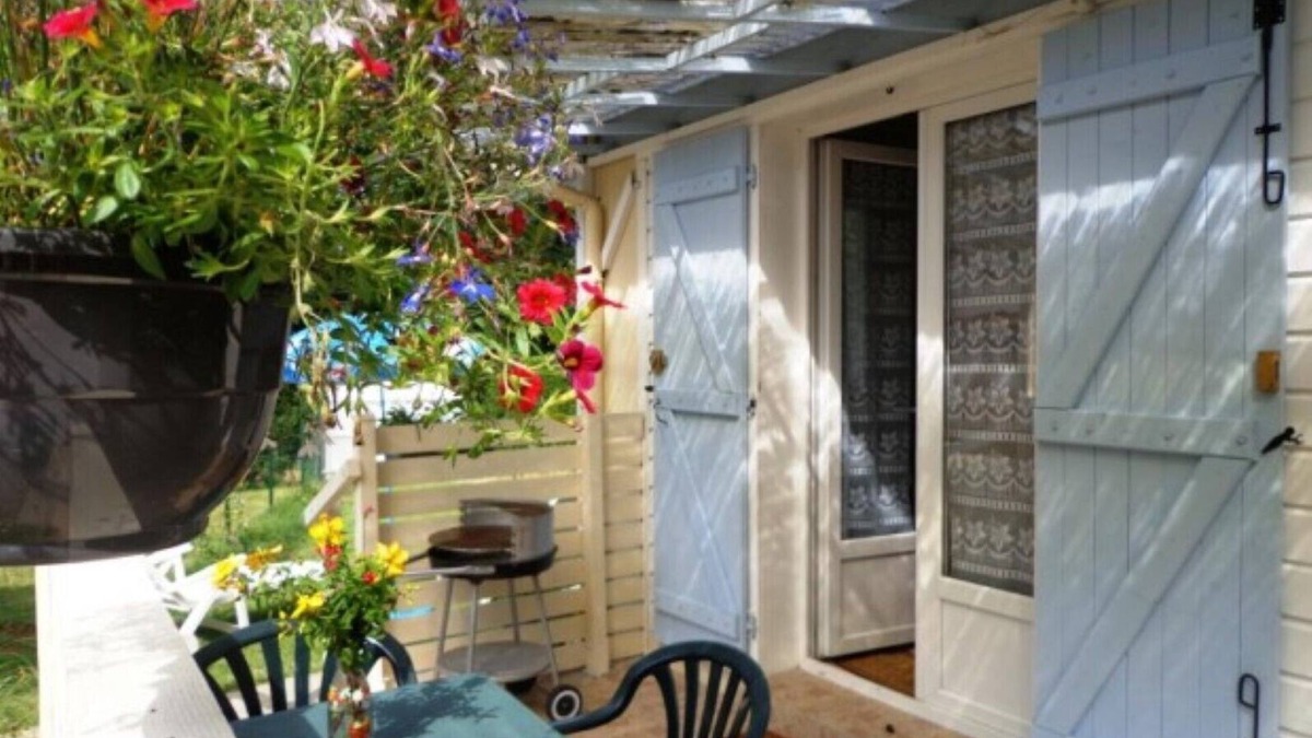 Cassen House | - The plane trees -