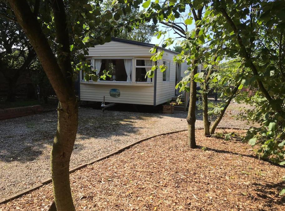 Ormskirk Other | The Pony Pad