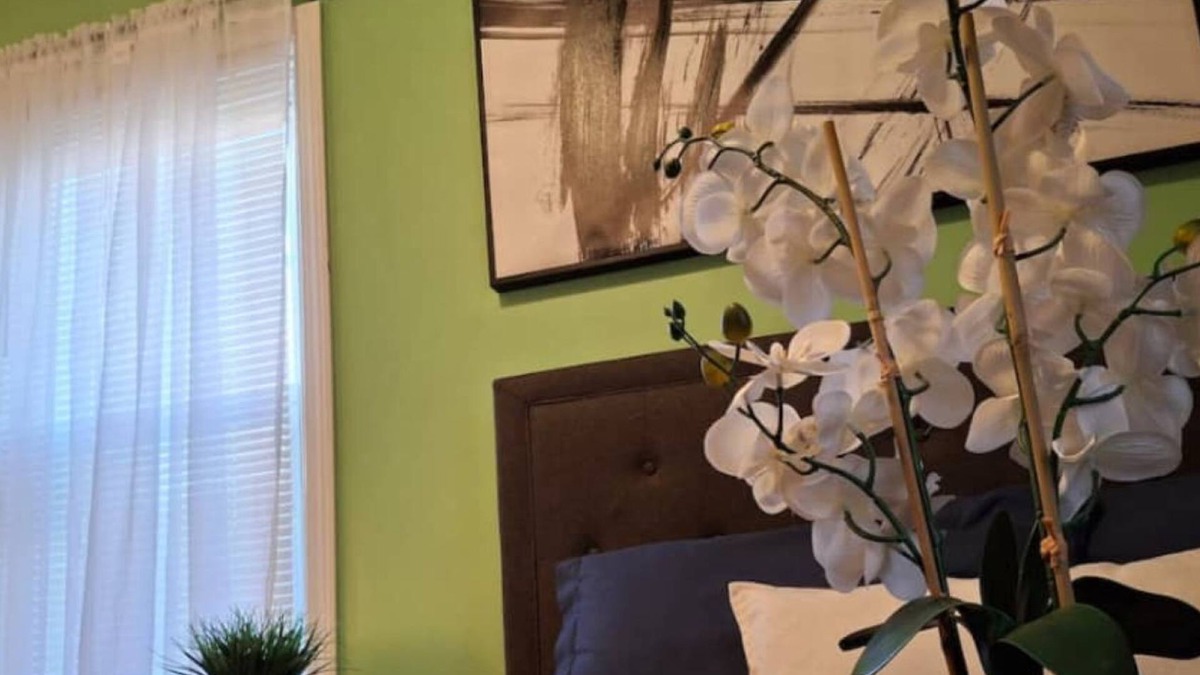 Mount Pleasant Apartment | The Primo-Suite at Lower Atwells Ave 2B Apt P