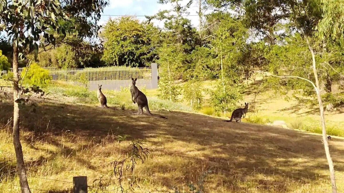 Hepburn Springs House | The Purple House - corner spa, views and wildlife in tranquil Hepburn Springs