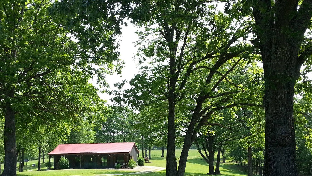 Saint Joe Other | The Ranch House at Sky Hawk Ridge, a 185-Acre Refuge, ONE MILE to Buffalo River