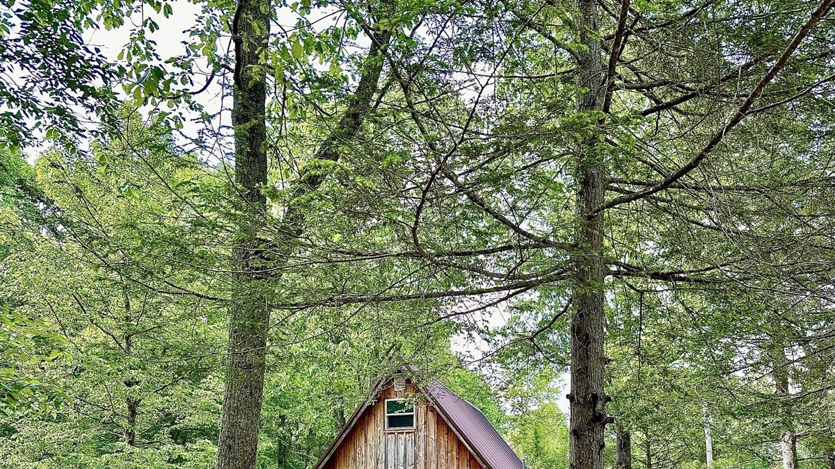 Wellington Cabin | The Ridge A-Frame: Cave Run Lake | Red River Gorge