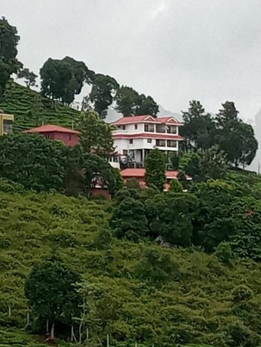 Kotagiri Hotel | The Royale Ridge