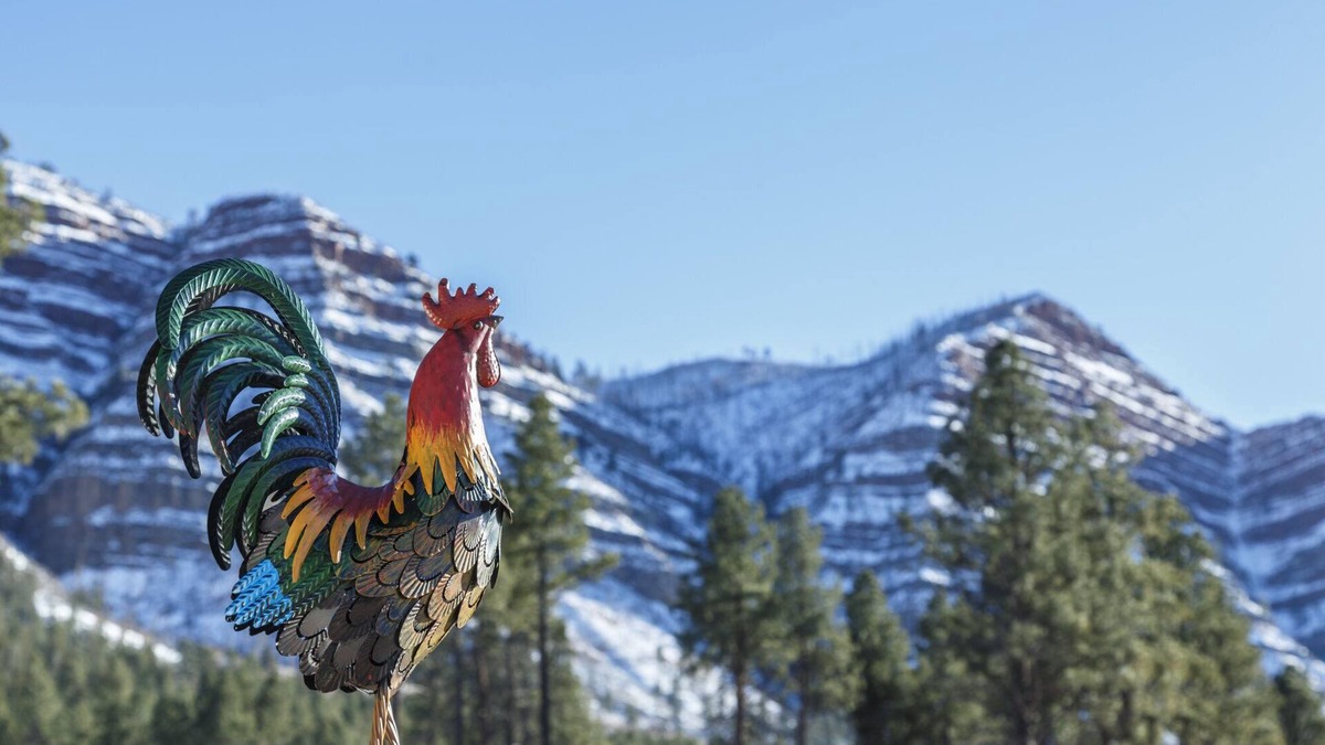 Hermosa Cabin | The Rustic Rooster Inn, Breathtaking Views, Between Downtown Durango & Purgatory
