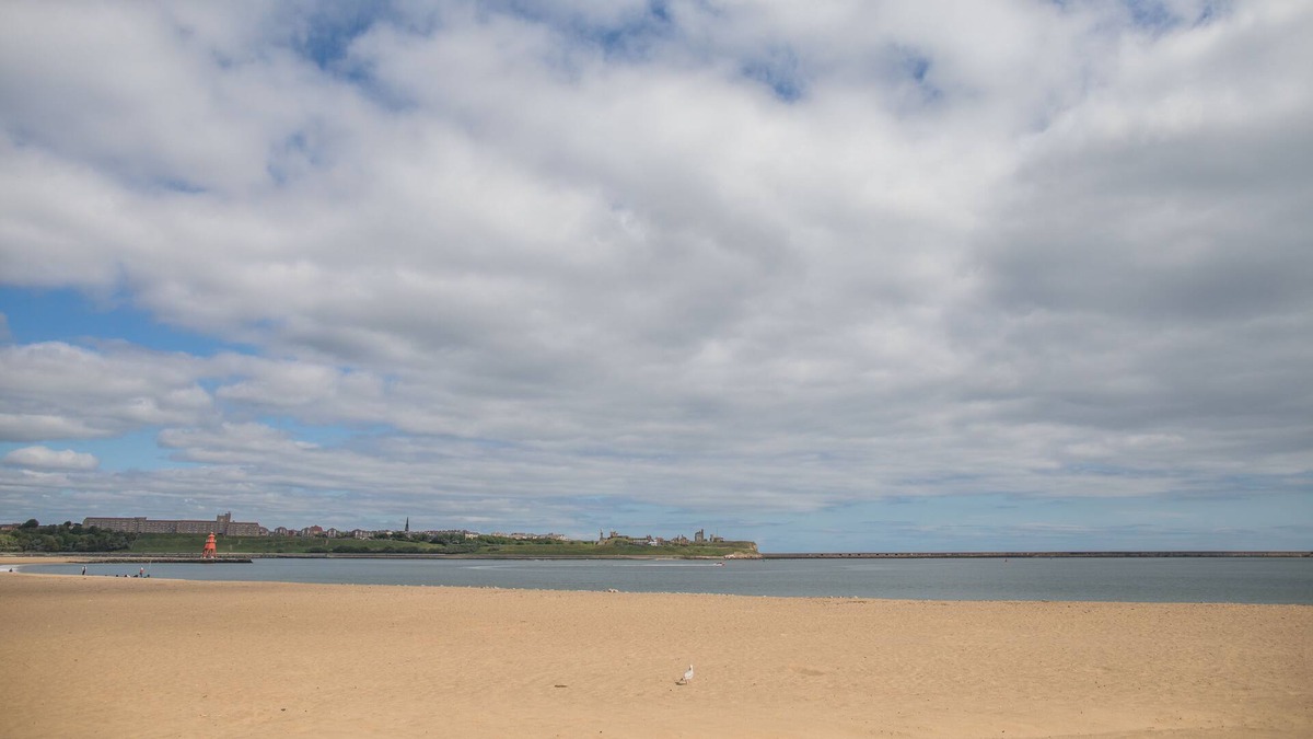 South Shields Hotel | The Sea Hotel, Sure Hotel Collection by Best Western