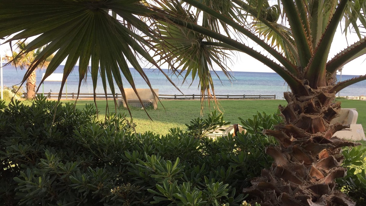 Eastern Hammamet Apartment | The sea right at your feet near the city center