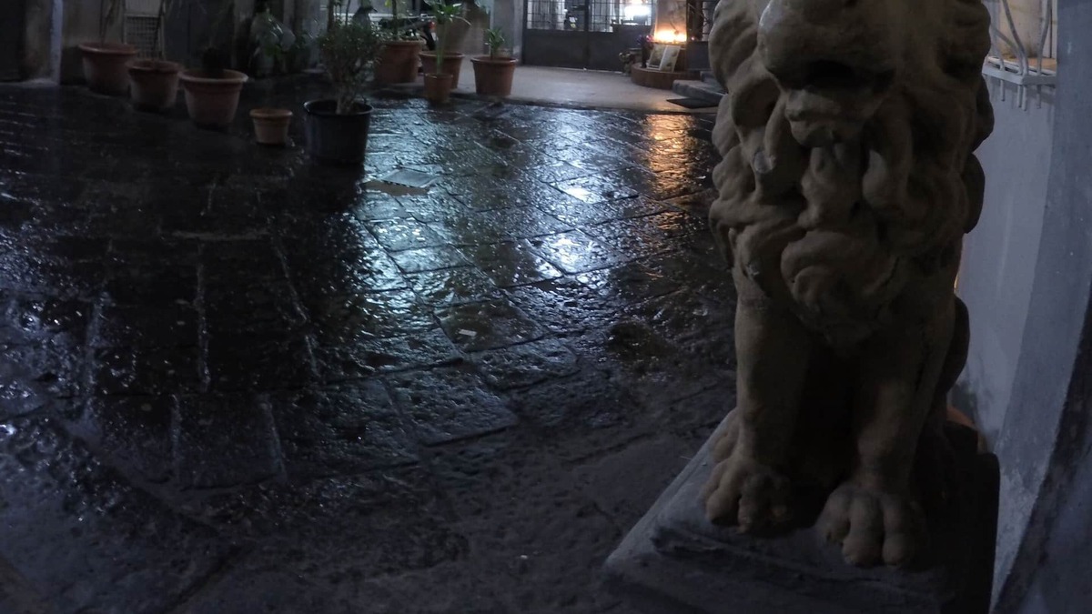 Materdei Apartment | "The shelter". B & B (Naples) Mini-apartment (24 sqm) with 2 double rooms