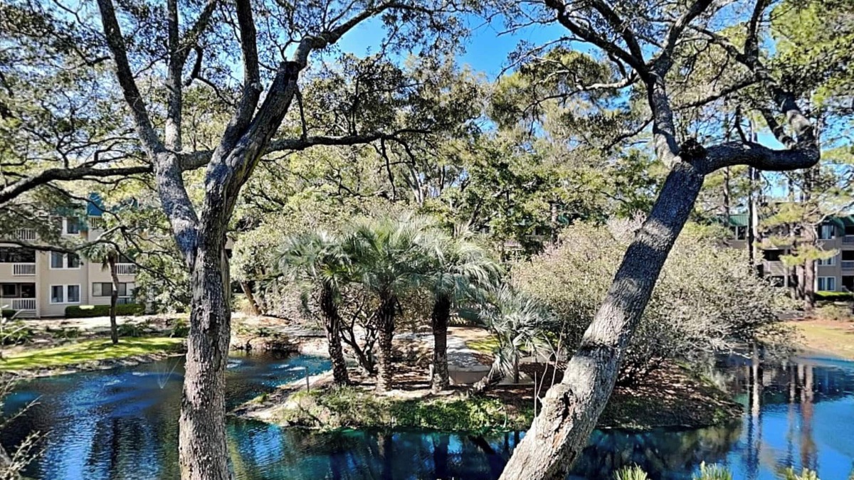 Palmetto Dunes Condo | The Spa 1219