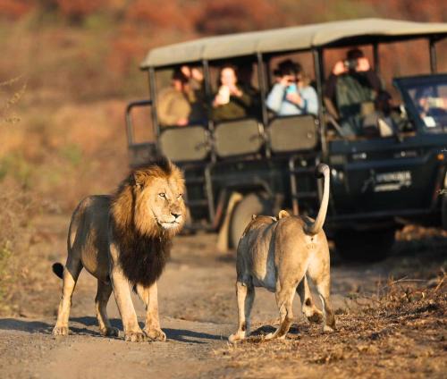 Ladysmith Cabin | The Springbok Lodge
