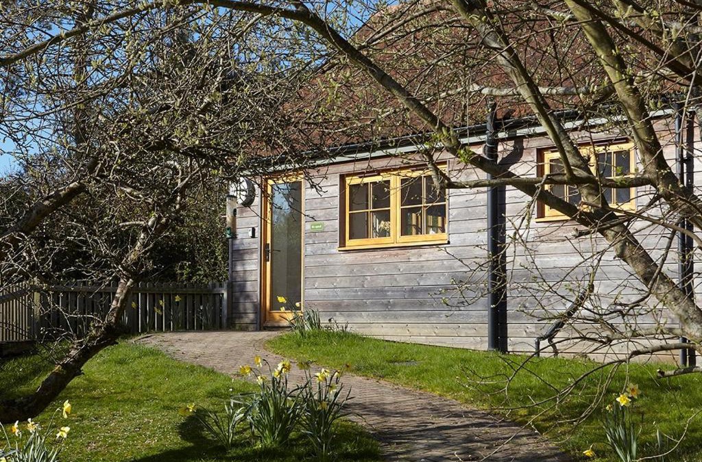 Godshill House | The Squeak at Moor Farm