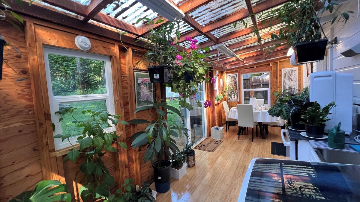 Lane County House | The Swisshome Nest 🌺 is in a beautiful forest🌴 setting 22 miles from the sea🌊