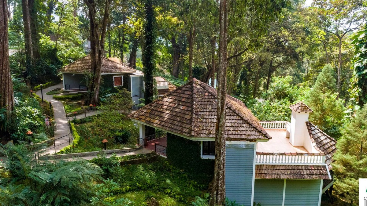 Munnar Hotel | The Tall Trees Munnar