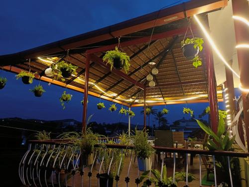 Stuart Hill Villa | The Tavern