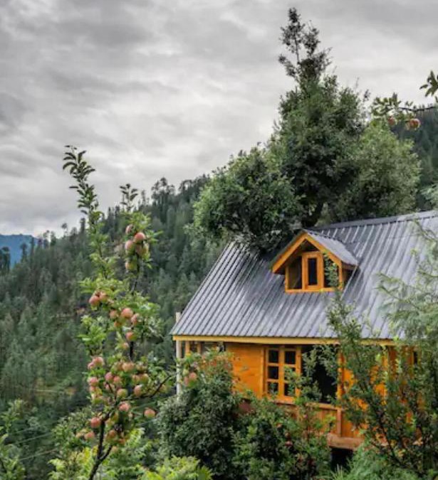 Banjar Ski Chalet | THE TREE HOUSE JIBHI ,Swastika Aashiyana