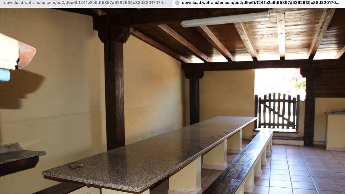 La Caletta House | The two palms from Angelo n. 6