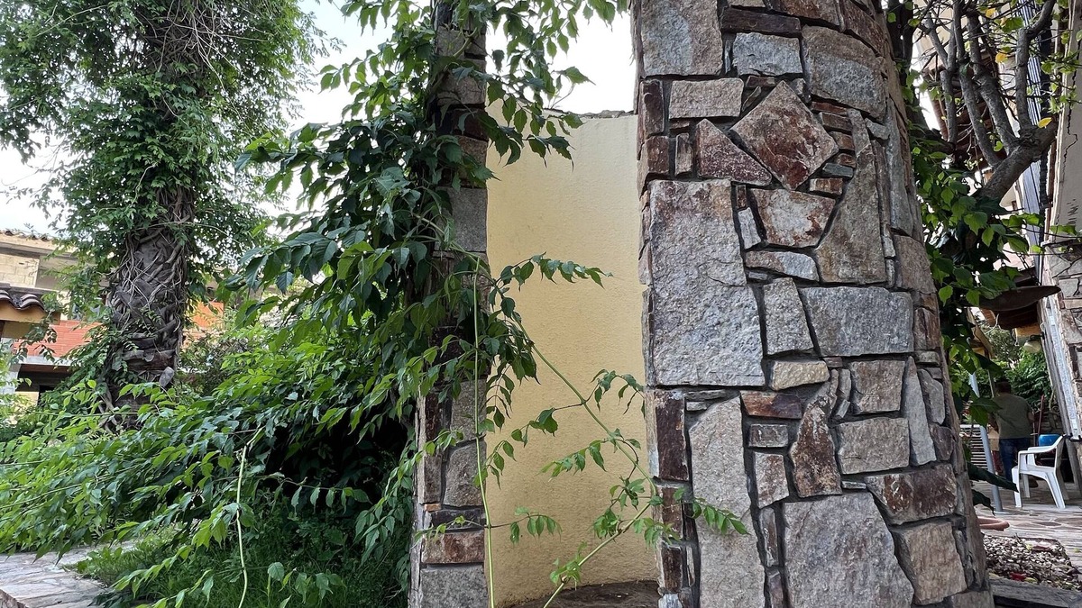 La Caletta House | The two palms from Angelo the cove