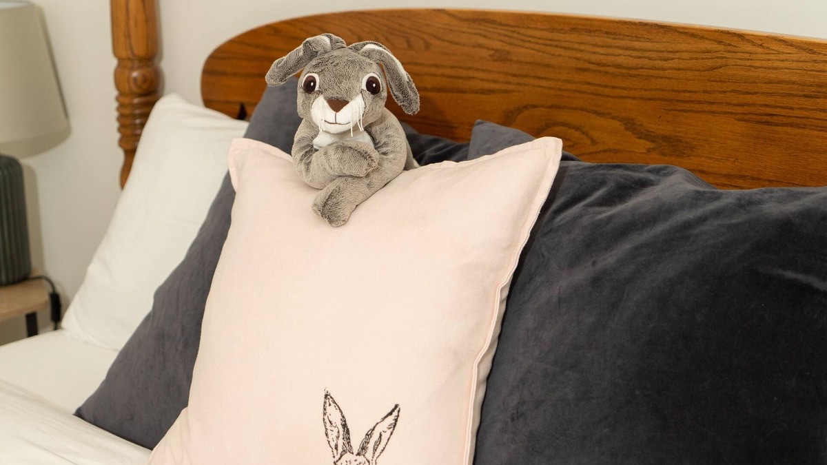 Banff Apartment | The Ugly Bunny Guest House | King Bed