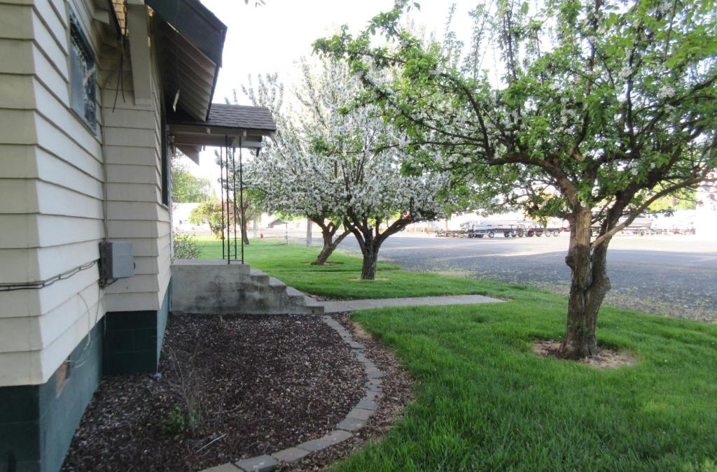 Wilbur Hotel | The Willows Motel