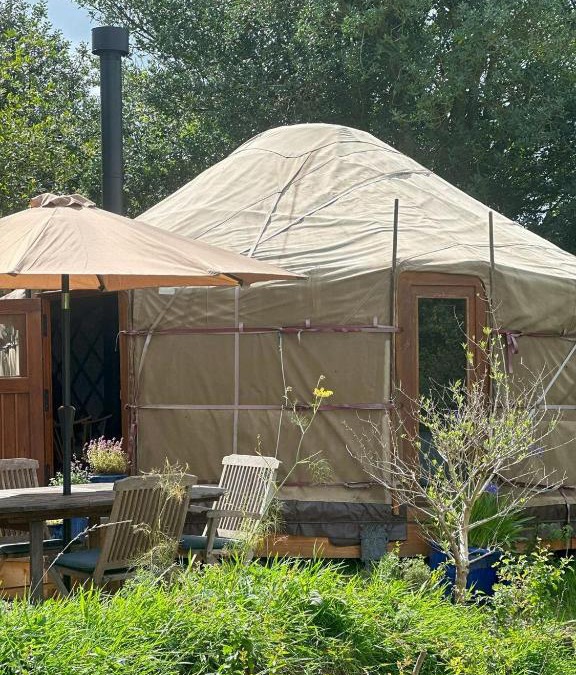 Cardigan Other | The Yurt @ Penbanc Pasture
