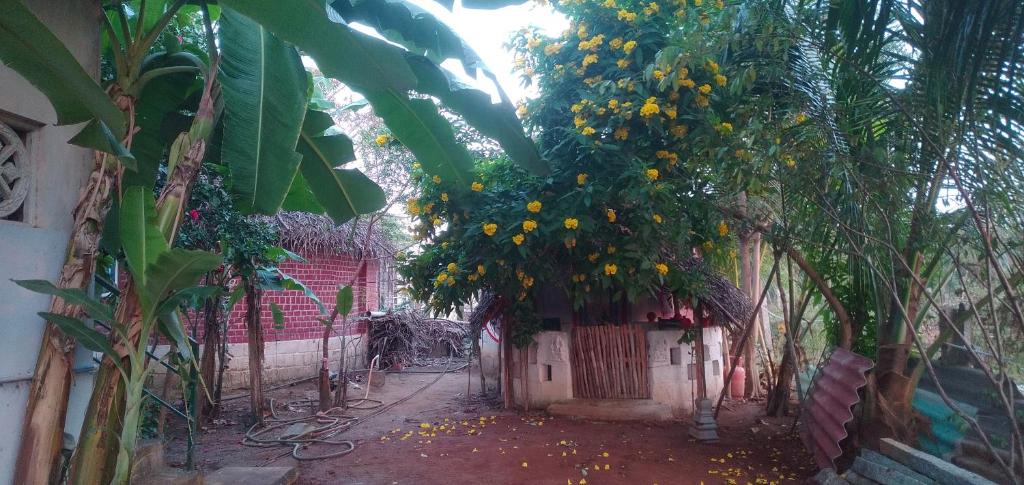 Tiruvannamalai House | Thiru Nakshatra Family Guest House