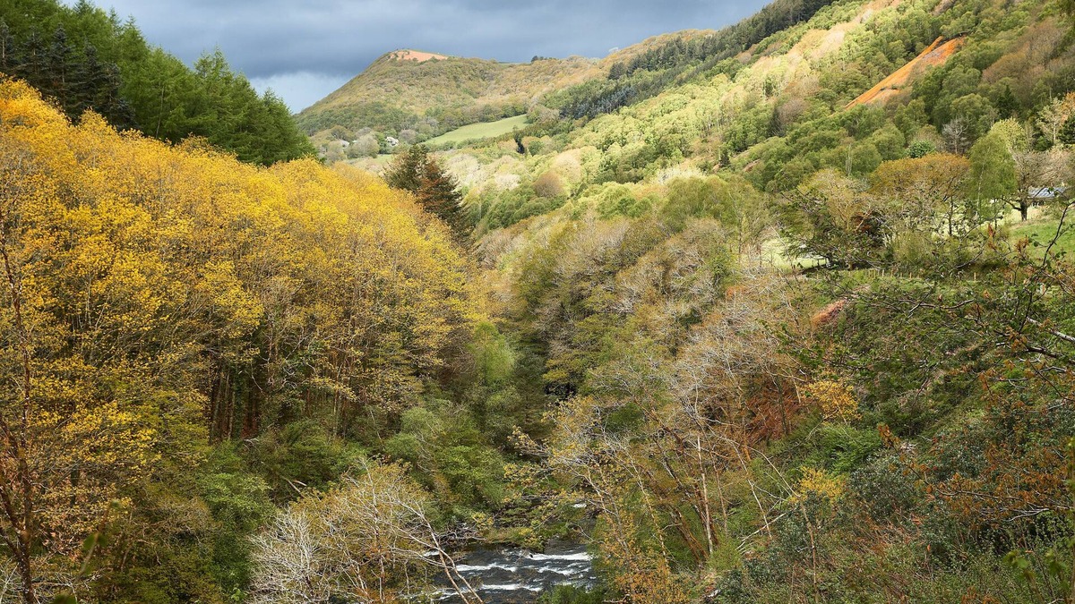 Devils Bridge Cottage | This charming and secluded cottage is the perfect retreat to enjoy nature
