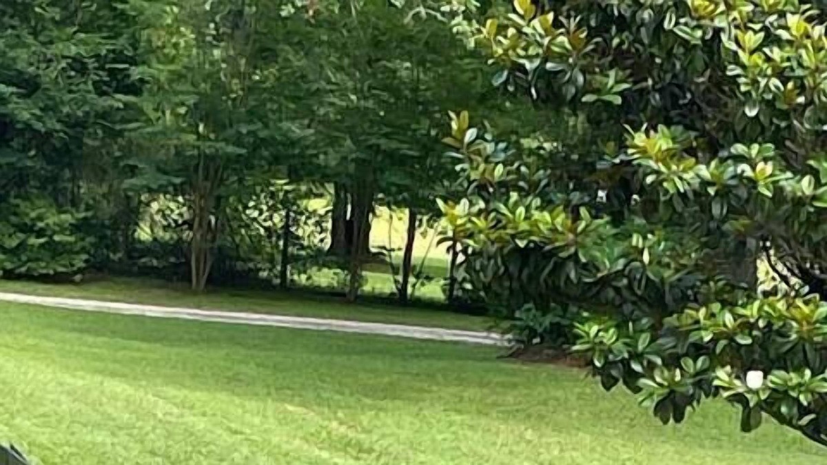 Tallahassee Cottage | This country house is a 1 bedroom(s), 1 bathrooms, located in tallahassee, FL.