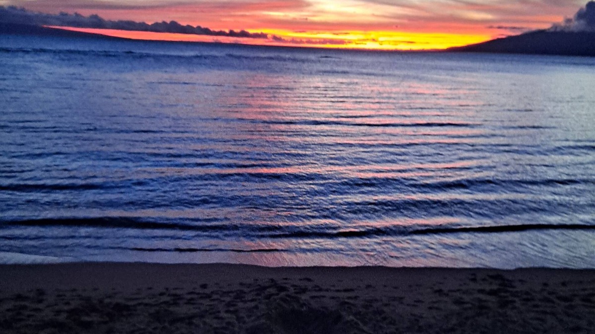 Kilauea House | THIS IS IT! DREAMY BEACH, STUNNING VIEWS, AMAZING LOCATION!