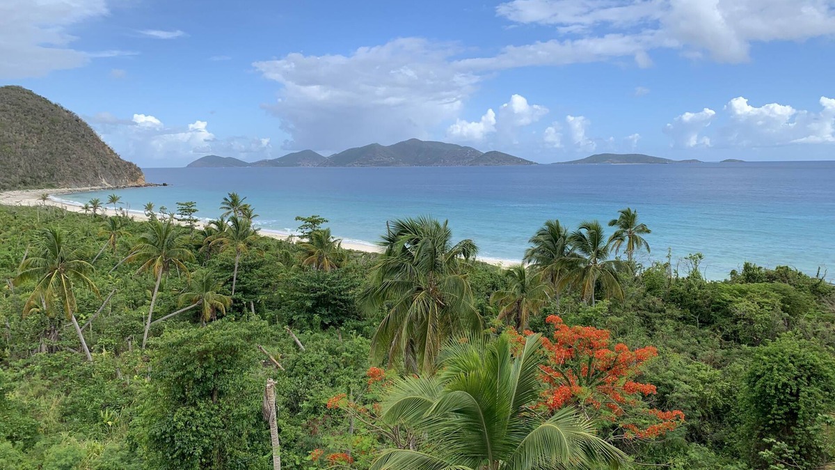 West End Apartment | This stunning View Could Be Yours