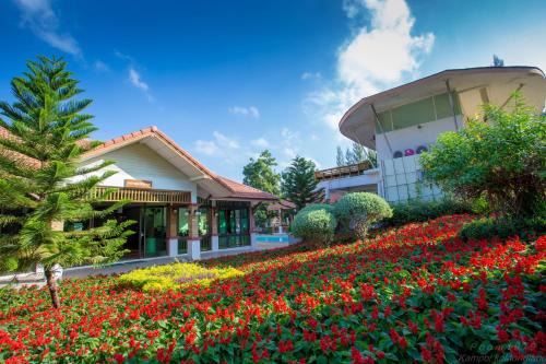 Nong Nam Daeng Resort | Thongsathit Hill Resort Khao Yai