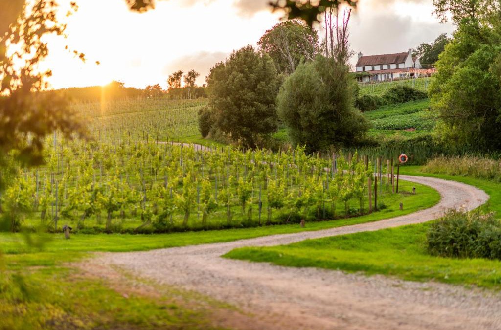 Newent Hotel | Three Choirs Vineyards