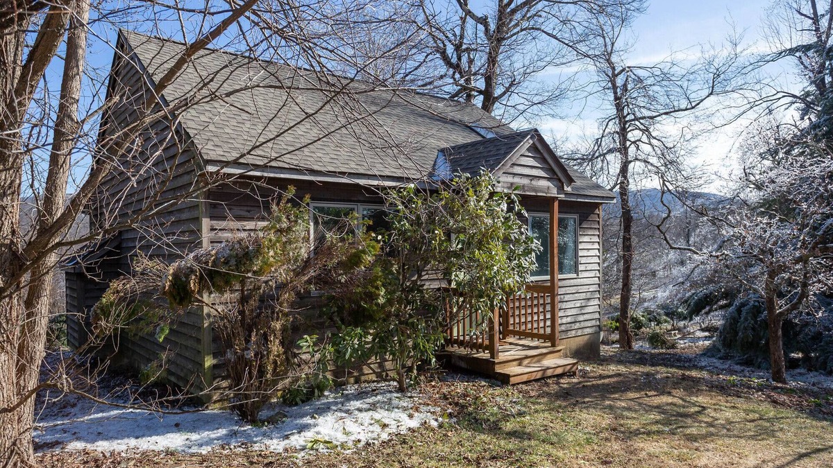 Lyndhurst Apartment | Three Ridges Cabin-kitchen, fireplace, jacuzzi