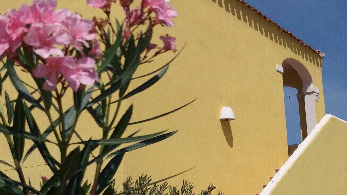 Aglientu House | THREE-ROOM APARTMENT AIR CONDITIONED PANORAMIC 400 mt sea Vignola Sea village with swimming pool