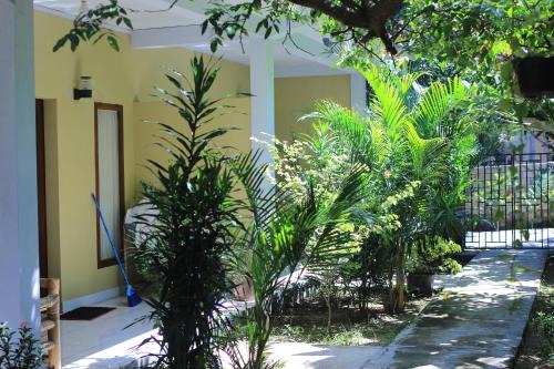 Kuta House | Three V Homestay
