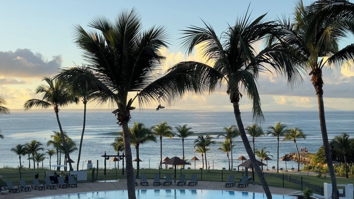 Sainte-Anne Other | Ti Kaz Funky Host T3 prémium vue mer GD