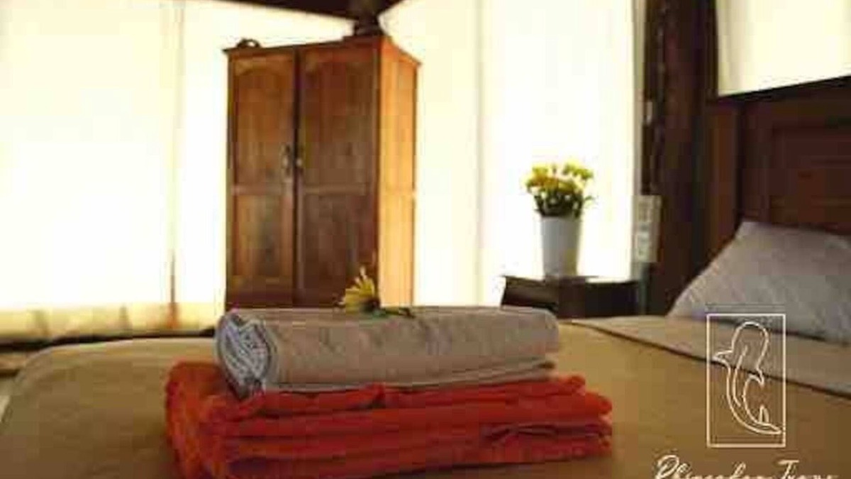 Isla Holbox House | Tiburón Ballena Summa