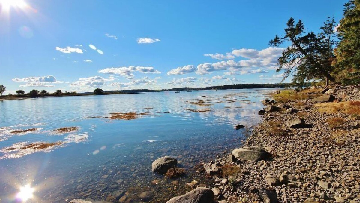 Tenants Harbor Cottage | Tideriver, Water Front Vacation Rental