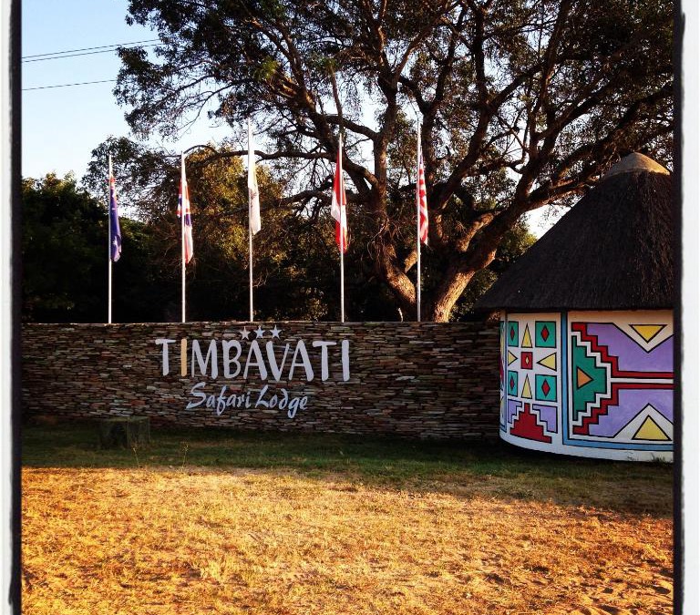 Thorny Bush Game Reserve Cabin | Timbavati Safari Lodge