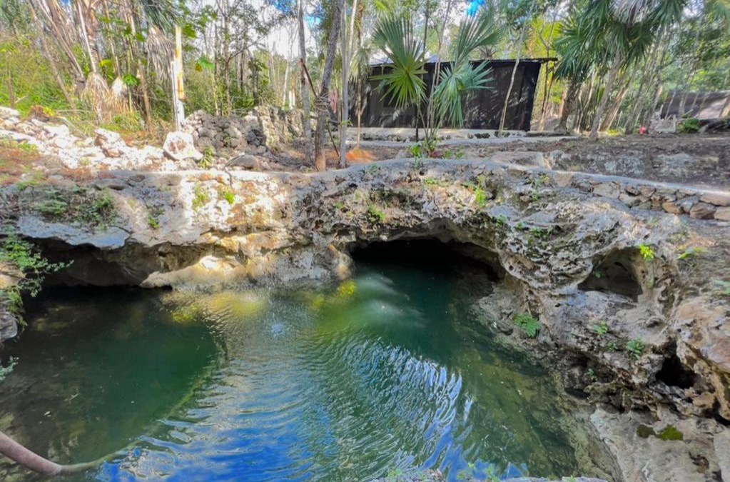 Puerto Morelos Other | TINY CENOTE Casa Costal Glamping Experience