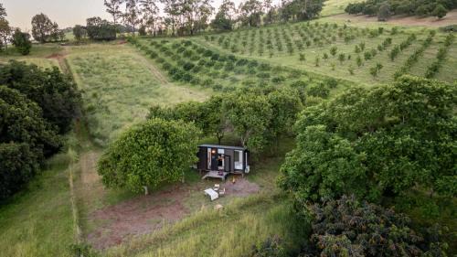 Dagun House | Tiny House Elevation 152 by Tiny Away