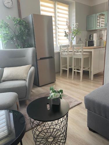 Pyskowice Apartment | Tiny Studio Pyskowice with parking
