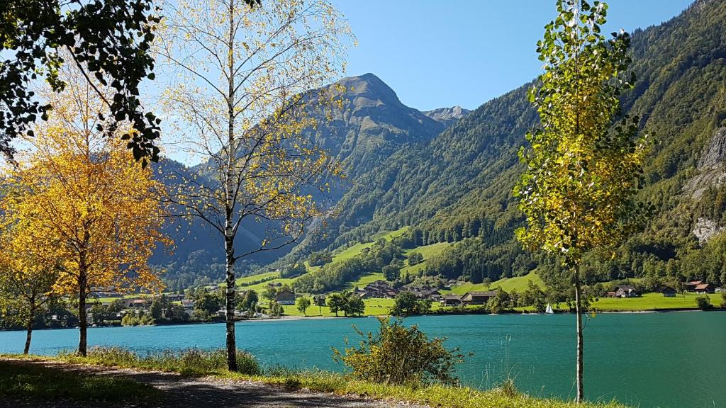 Lungern Apartment | Tiny Timeout