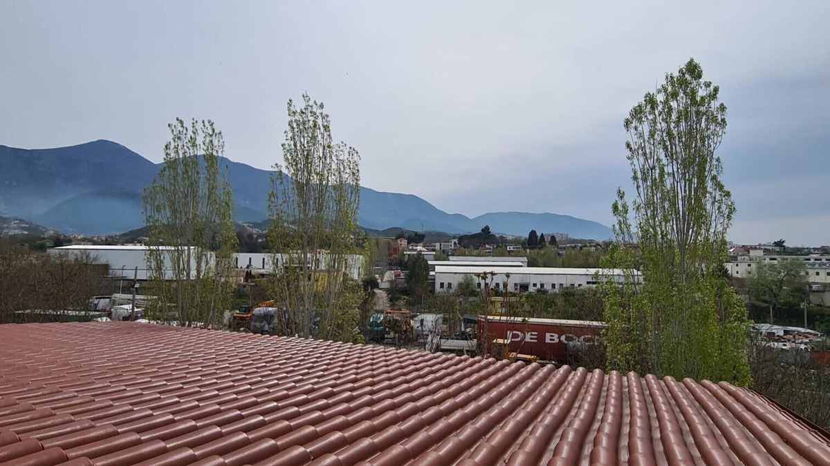 Kamez House | Tirane Tranquility Cottage
