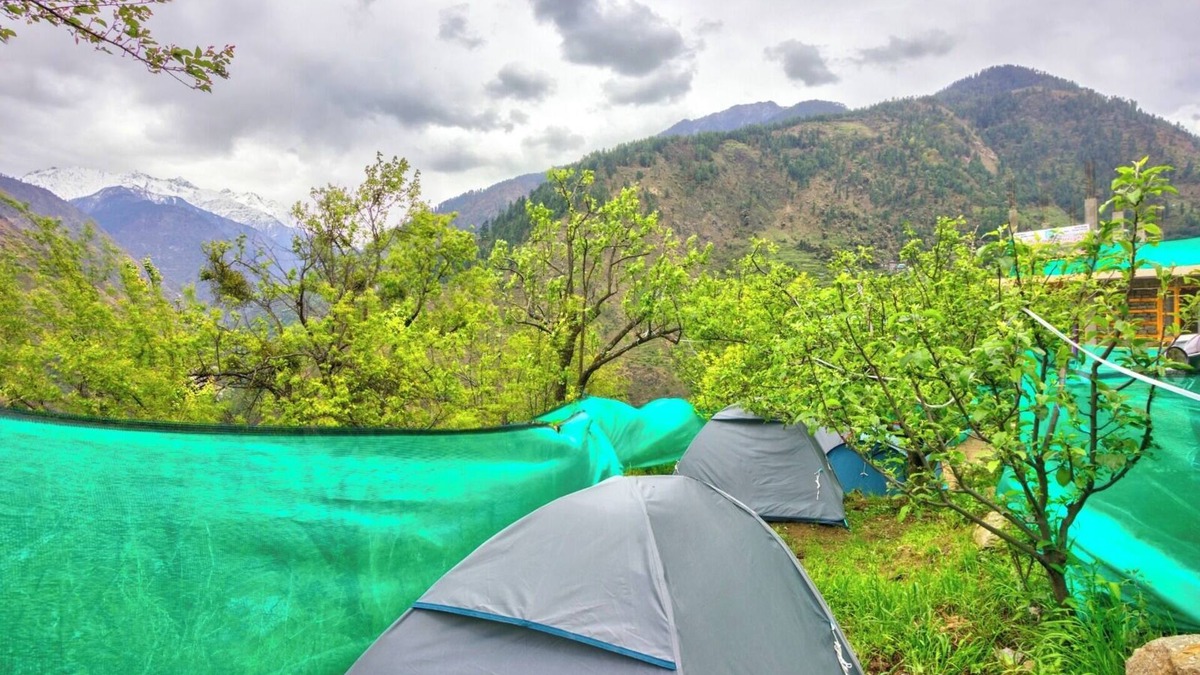 Banjar Bed & Breakfast | Tirthan Height - Facing toward Snow View